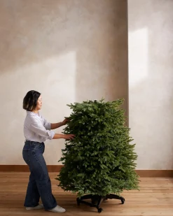 Silverado Slim® Trees