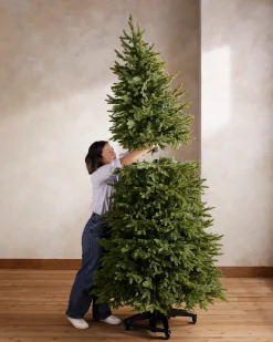 Silverado Slim® Trees