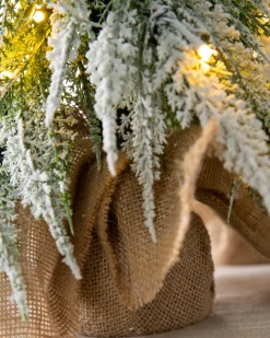 Snowfall Downswept Tabletop Trees