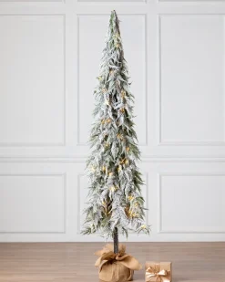 Snowfall Downswept Trees