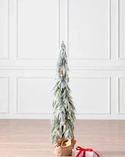 Snowfall Downswept Trees