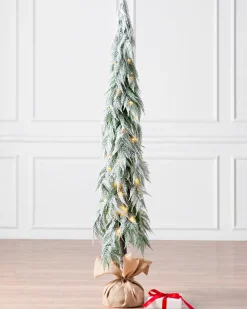 Snowfall Downswept Trees