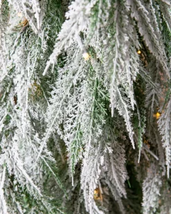 Snowfall Downswept Trees
