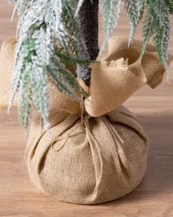 Snowfall Downswept Trees