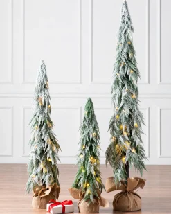 Snowfall Downswept Trees