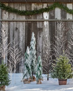 Snowfall Downswept Trees