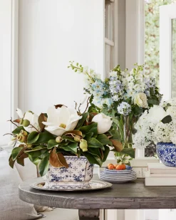 Spring Magnolia Foliage