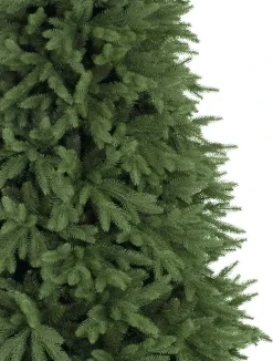 Stratford Spruce Trees