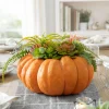 Succulent Harvest Pumpkin Foliage