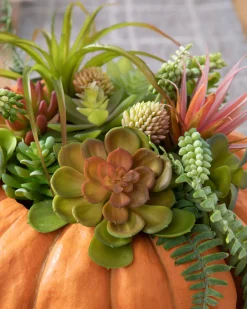 Succulent Harvest Pumpkin Foliage