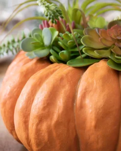 Succulent Harvest Pumpkin Foliage