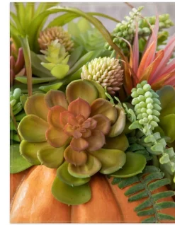 Succulent Harvest Pumpkin Foliage