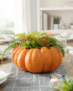 Succulent Harvest Pumpkin Foliage