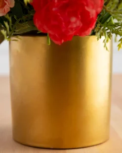 Sunrise Blooms Foliage