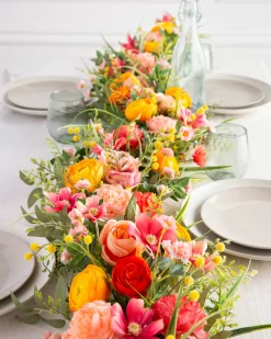 Sunrise Blooms Foliage