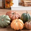 Tabletop Heirloom Pumpkins