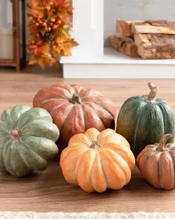 Tabletop Heirloom Pumpkins