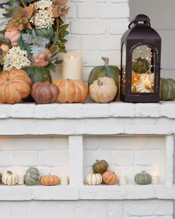Tabletop Heirloom Pumpkins