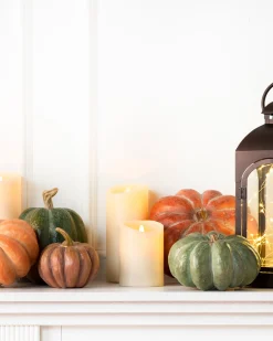 Tabletop Heirloom Pumpkins