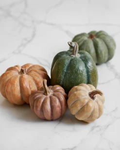 Tabletop Heirloom Pumpkins