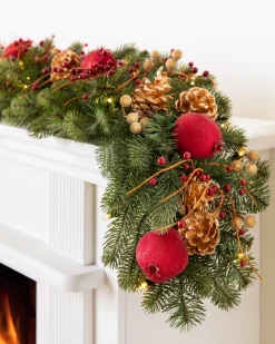 Vermont White Spruce Bordeaux Foliage