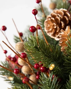 Vermont White Spruce Bordeaux Foliage