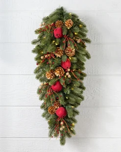 Vermont White Spruce Bordeaux Foliage