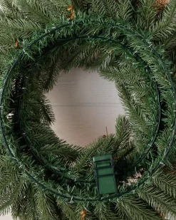 Vermont White Spruce Bordeaux Foliage