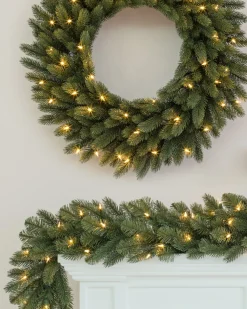 Vermont White Spruce Foliage