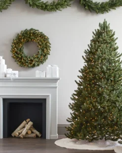 Vermont White Spruce Foliage