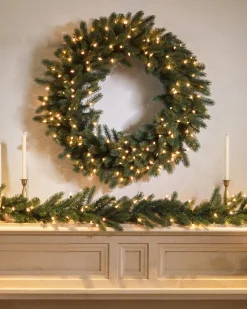 Vermont White Spruce Foliage