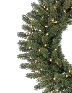 Vermont White Spruce Foliage