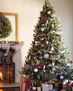 Vermont White Spruce® ReNEW™