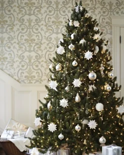 Vermont White Spruce® ReNEW™