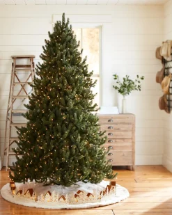 Vermont White Spruce® ReNEW™