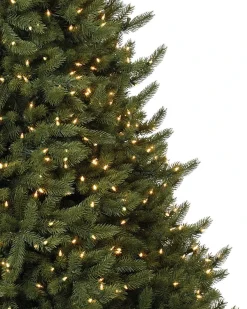 Vermont White Spruce® ReNEW™