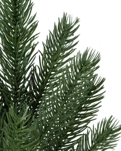 Vermont White Spruce® ReNEW™