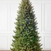 Vermont White Spruce® Trees