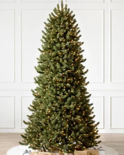 Vermont White Spruce® Trees