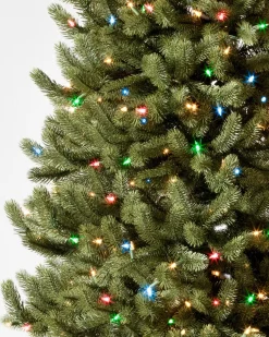 Vermont White Spruce® Trees