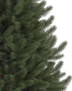 Vermont White Spruce® Trees