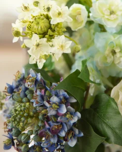 Viola Flower Foliage