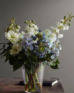 Viola Flower Foliage