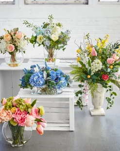 Viola Flower Foliage