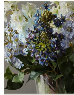 Viola Flower Foliage