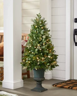 White Berry Cypress Potted Tree