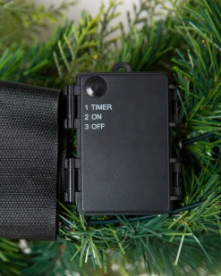 Winter Meadow Foliage