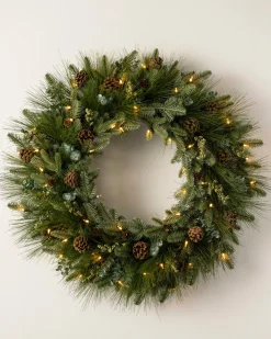 Wintry Woodlands Foliage