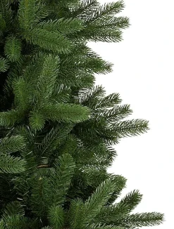 Woodland Spruce Trees