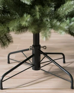 Woodland Spruce Trees